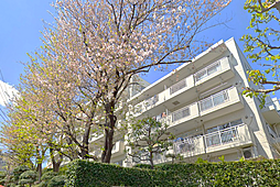 物件画像 東寺尾ヒルズ84