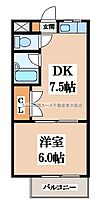 大阪府東大阪市中石切町4丁目（賃貸マンション1DK・1階・24.84㎡） その2