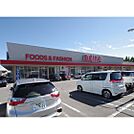 スーパー「オギノ岡谷店まで1896ｍ」