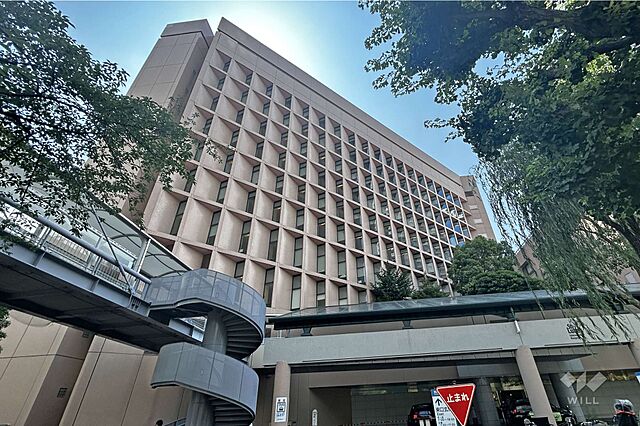 周辺 パークタワー勝どきサウス 52階/-