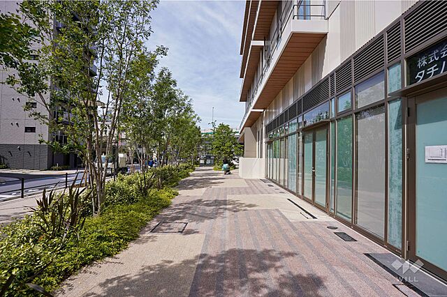 その他 白金ザ・スカイ 38階/-