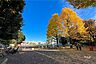 周辺：南台いちょう公園の外観