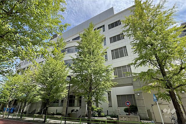 周辺 ザ・パークハウス晴海タワーズクロノレジデンス 29階/-