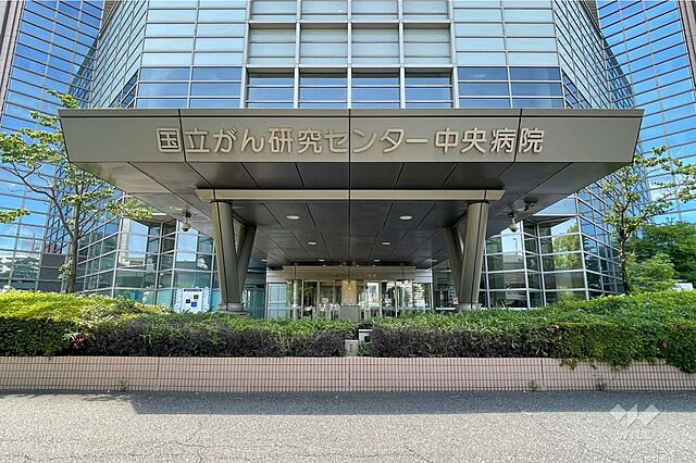 周辺 勝どきザタワー 36階/-