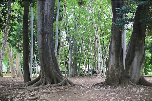 周辺を拡大表示