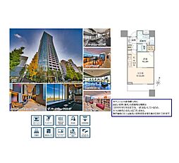 パークコート渋谷ザタワー 1LDKの間取図画像