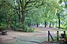 周辺：駒場野公園の外観