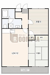 Little Wing 4階/501