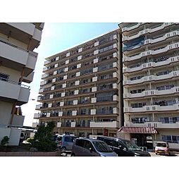 ハイタウンみずほII