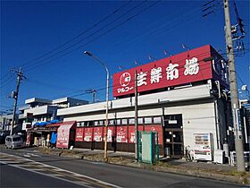 TOWAハイネス 105 ｜ 埼玉県草加市稲荷４丁目（賃貸マンション3LDK・1階・57.50㎡） その4