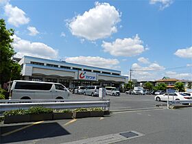 スマッシュハイツ 101 ｜ 埼玉県草加市金明町185-15（賃貸アパート1K・1階・23.18㎡） その14