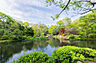 周辺：■　有栖川宮記念公園　■