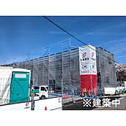 ※大東サンプル写真使用