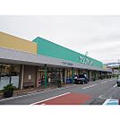 スーパー「ツルヤ小諸東店まで891ｍ」