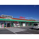 スーパー「西友岩村田相生店まで1309ｍ」