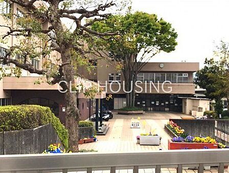 相模原市立陽光台小学校 徒歩8分。 590m
