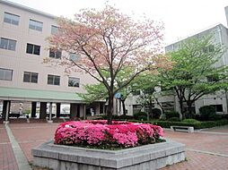 【大学】久留米大学医学部看護学科まで1068ｍ