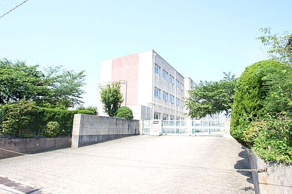 画像16:名古屋市立桜小学校