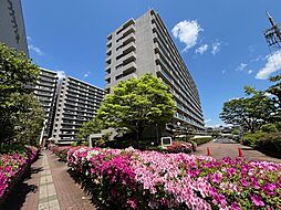物件画像 ファミールハイツ八尾