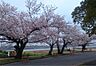 周辺：佐鳴湖公園（2926m）