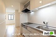 同型