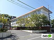小学校「近江八幡市立桐原東小学校まで1480m」