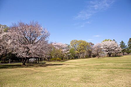 大泉中央公園…徒歩8分