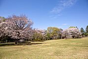 大泉中央公園…徒歩8分