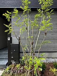 物件画像 ZEH水準・省エネラベル取得 新松戸駅徒歩12分 新築戸建全3邸