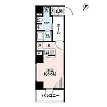 プレール・ドゥーク日本橋浜町 901 ｜ 東京都中央区日本橋浜町１丁目10-5（賃貸マンション1R・9階・25.71㎡） その2