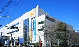 ハニーズ東大島店 592m