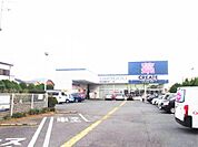 クリエイトＳ・Ｄ 二宮山西店まで約1400m（徒歩18分）