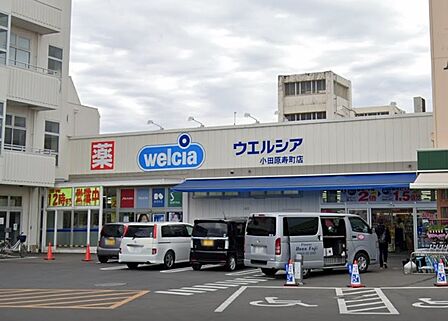 ウエルシア小田原寿町店まで約550m(徒歩7分)