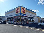 ドラッグストア マツモトキヨシ 小田原中里店まで約710m（徒歩9分）