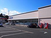 クリエイトＳ・Ｄ 小田原清水新田店まで約2047m（徒歩26分）