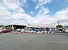 周辺：DCM 小田原店まで約795m（徒歩10分）