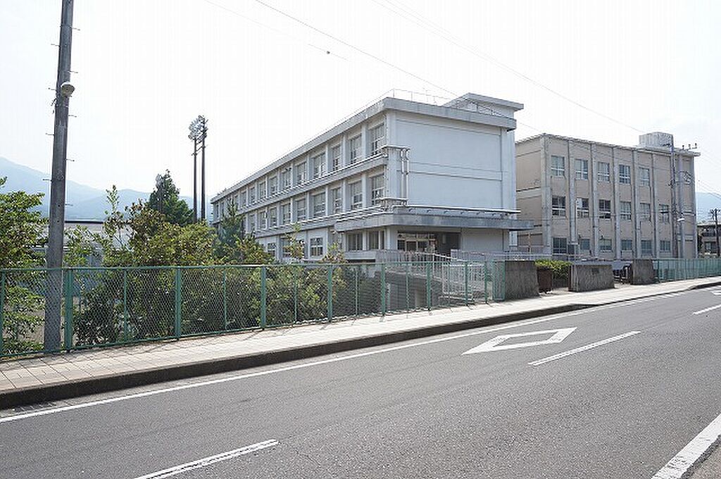 Image 11