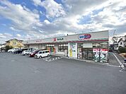 ドラッグセイムス 秦野戸川店まで約1240m（徒歩16分）