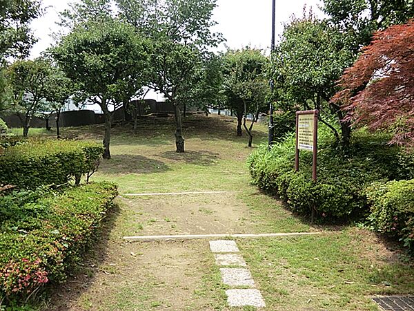 周辺を拡大表示