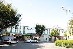 ビューコートQM
