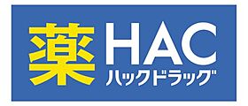 ハーミットクラブハウスル・シェル  ｜ 神奈川県横浜市保土ケ谷区峰岡町3丁目（賃貸アパート1K・2階・22.11㎡） その23