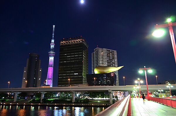 リバーレ浅草ウエスト 402｜東京都台東区寿２丁目(賃貸マンション2LDK・4階・49.21㎡)の写真 その24