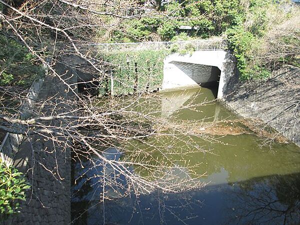 フェニックス飯田橋 214｜東京都文京区水道１丁目(賃貸マンション1K・2階・25.75㎡)の写真 その20