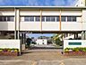 周辺：東深井小学校（800m）
