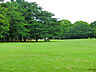 周辺：県立柏の葉公園（1100m）