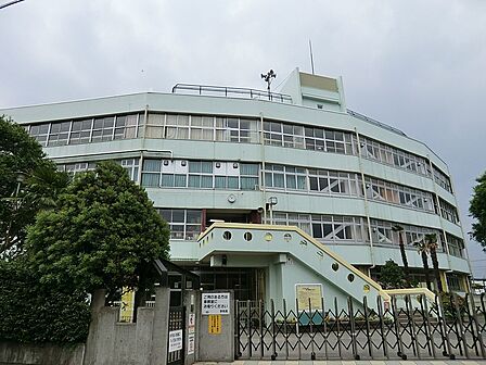 小学校 1700m 武蔵野市立井之頭小学校