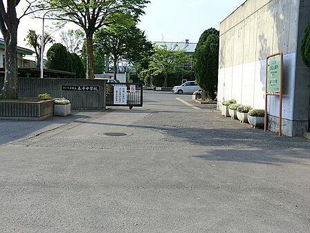 中学校 300m さいたま市立泰平中学校