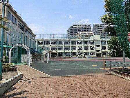 小学校 800m 新宿区立柏木小学校