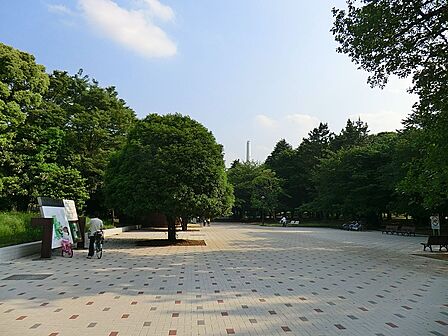 公園 66m 光が丘公園 ゆりの木口