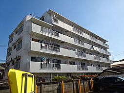 物件画像 根岸KSマンション